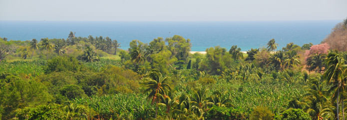 Vista al mar - Cabaas La Crema - Barra de la Cruz